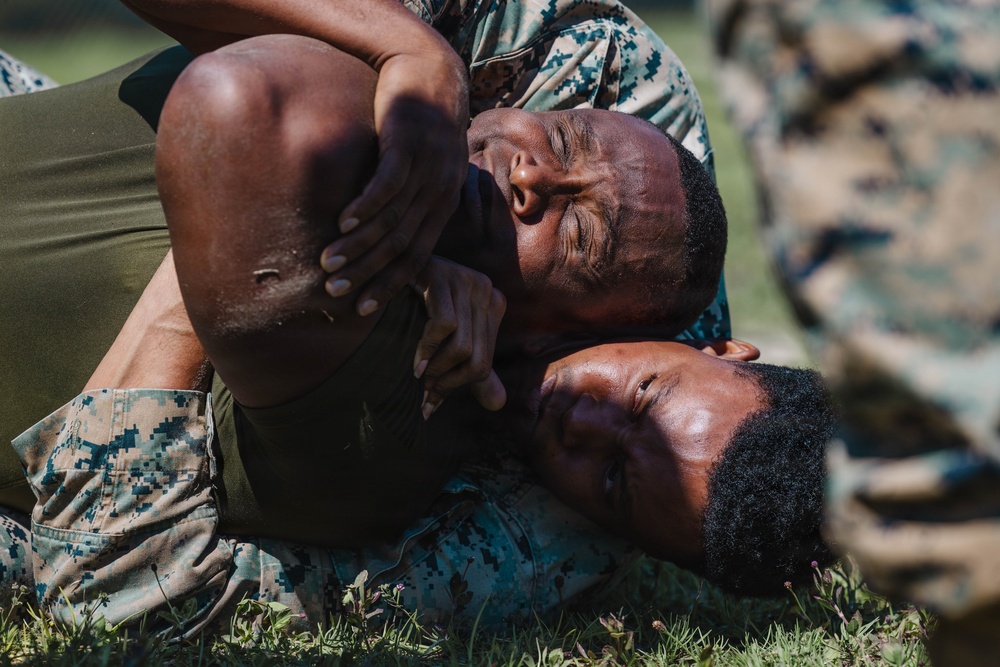 2nd Network Battalion Celebrates 5th Birthday