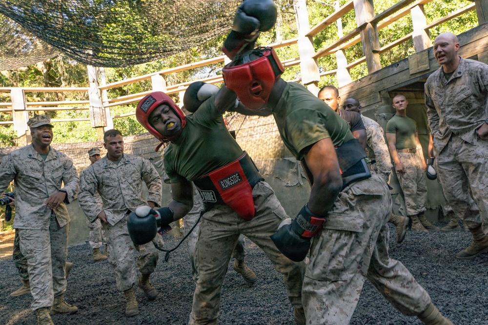 Mike Company Crucible