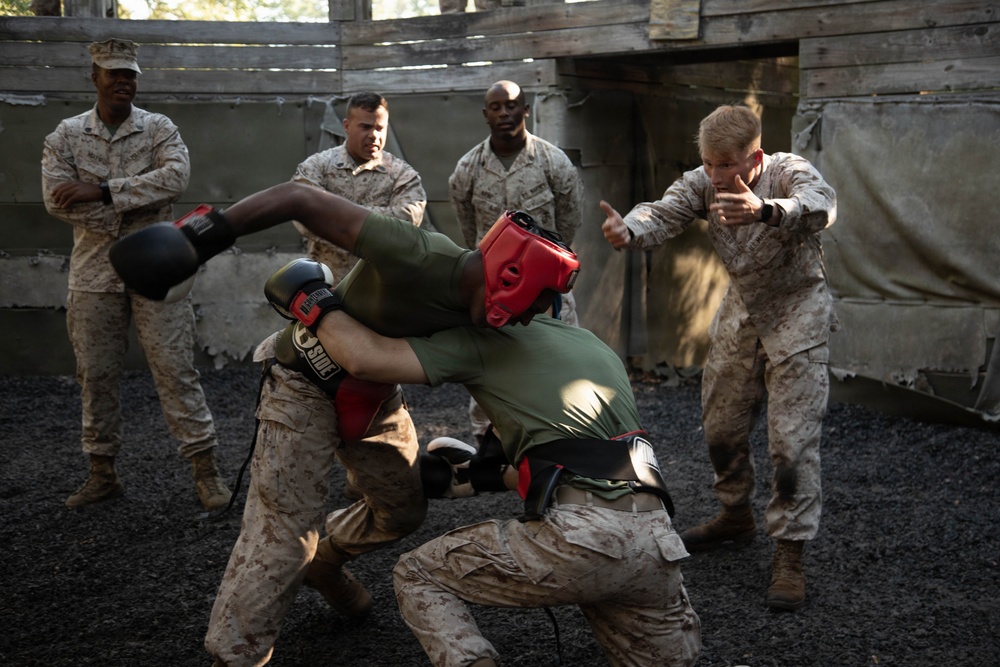 Mike Company Crucible