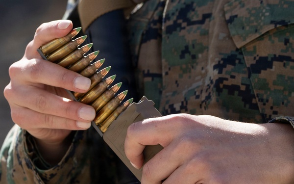 U.S. Marines with 1st CEB host live-fire range for Fleet Marine Force training