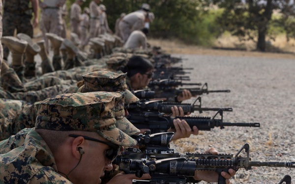 U.S. Marines with 1st CEB host live-fire range for Fleet Marine Force training