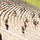 Wounded Warrior Regiment and the FBI National Academy fitness challenge 2026 Wounded Warrior Regiment and the FBI National Academy fitness challenge 2026