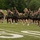 Wounded Warrior Regiment and the FBI National Academy fitness challenge 2026 Wounded Warrior Regiment and the FBI National Academy fitness challenge 2026
