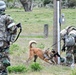 Meet Mamba: Hill AFB's newest MWD strengthens squadron readiness [