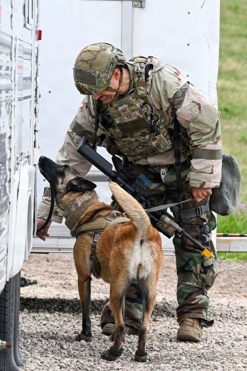 Meet Mamba: Hill AFB's newest MWD strengthens squadron readiness [