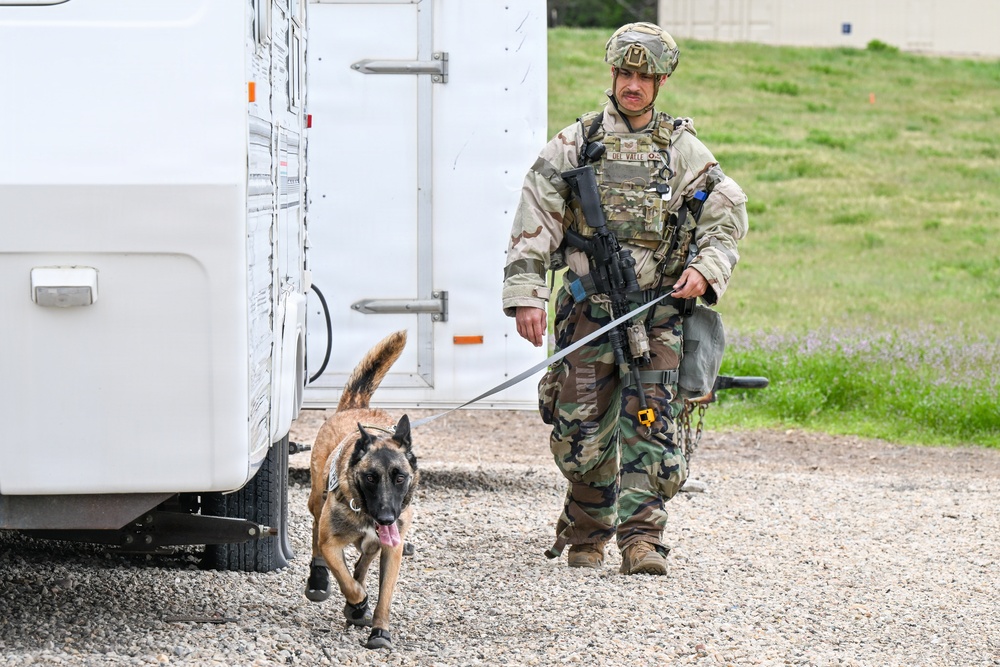 Meet Mamba: Hill AFB's newest MWD strengthens squadron readiness [