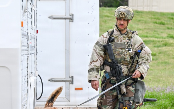 Meet Mamba: Hill AFB's newest MWD strengthens squadron readiness [
