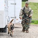 Meet Mamba: Hill AFB's newest MWD strengthens squadron readiness [