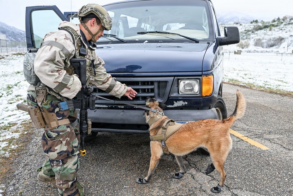 Meet Mamba: Hill AFB's newest MWD strengthens squadron readiness [