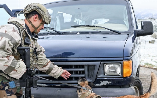 Meet Mamba: Hill AFB's newest MWD strengthens squadron readiness [