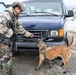Meet Mamba: Hill AFB's newest MWD strengthens squadron readiness [