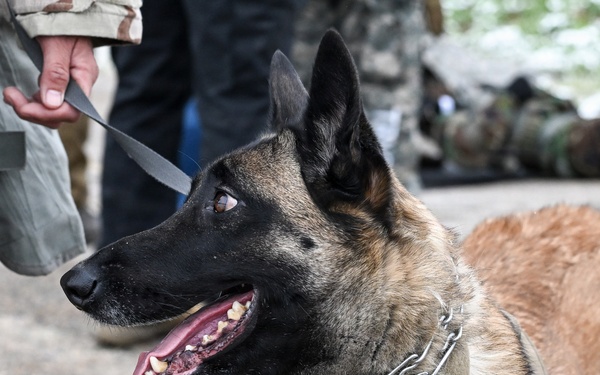 Meet Mamba: Hill AFB's newest MWD strengthens squadron readiness [