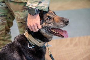 Exercise Digital Shield - News In One March 16, 2026