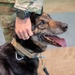 Sego Military Working Dog Retirement