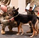 Sego Military Working Dog Retirement