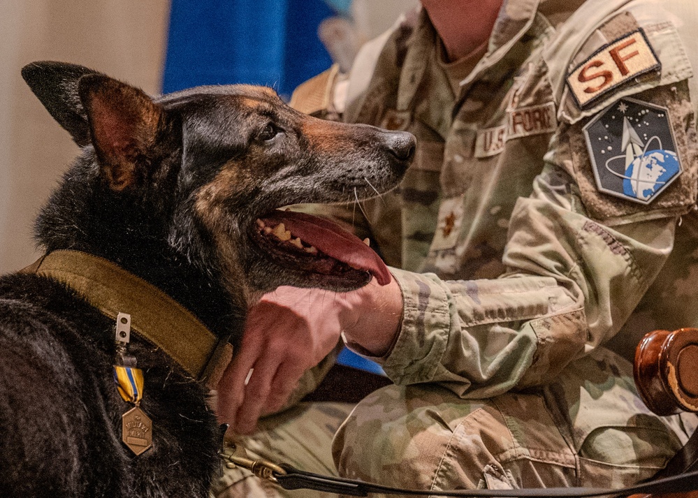 Sego Military Working Dog Retirement