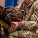 Sego Military Working Dog Retirement
