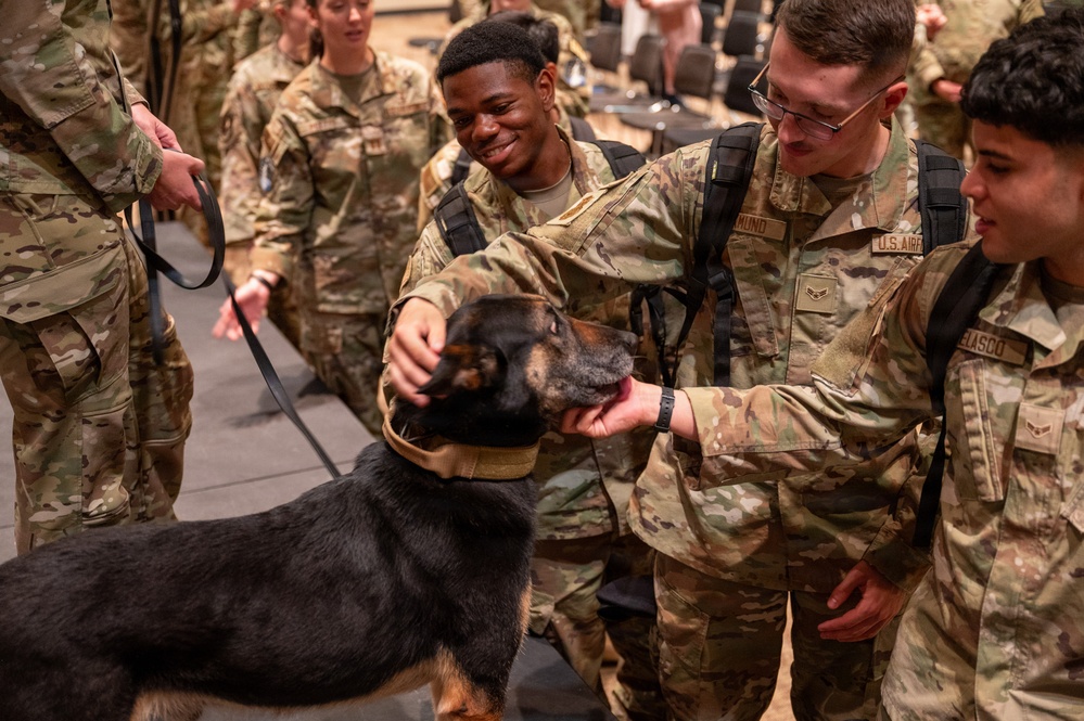 Sego Military Working Dog Retirement