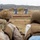 U.S. Marines with 1st LAR hosts Highlander week for family, friends