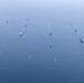 BALTOPS 26 Ships Sail in Formation