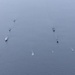 BALTOPS 26 Ships Sail in Formation
