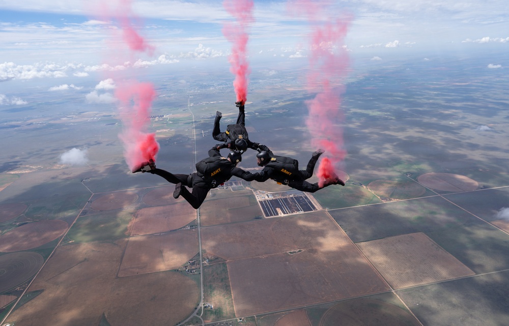 U.S. Army Parachute Team jumps for Wings Over Cannon Airshow