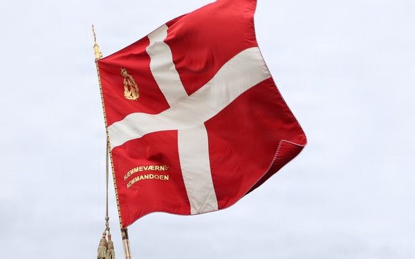 National Guard of Denmark stand proudly to honor those who came before them