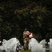 D-Day 82: Flag Placement at Normandy American Cemetery