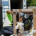 Hawaii Army National Guard firefighters conduct joint emergency response training on Maui