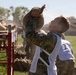 National Guard Soldiers Face Day 1 Challenges at Region VI Best Warrior Competition