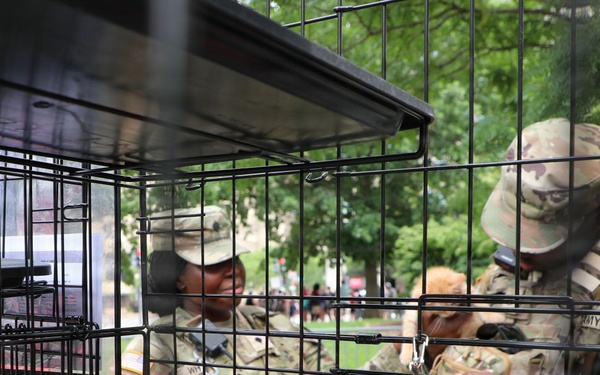 JTF-DC Patrol Spirit of Independence Festival