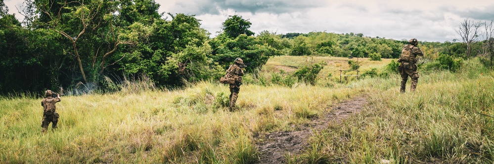 Salaknib 2026: 25th Infantry Division Conducts Live-Fire Squad Assault Training
