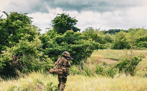 Salaknib 2026: 25th Infantry Division Conducts Live-Fire Squad Assault Training