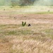 156 SFS and 106 SFS Joint Defender Readiness Training