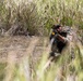 156 SFS and 106 SFS Joint Defender Readiness Training