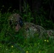 101st Security Forces Squadron Air Base Ground Defense Training