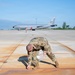 914th Air Refueling Wing Airmen conduct FOD walk