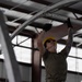 163d FSS Builds Readiness from the Ground Up