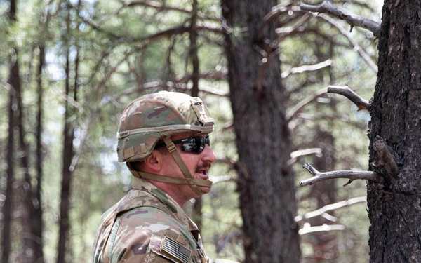 Arizona Army National Guard soldiers reinforce readiness and lethality during annual training.
