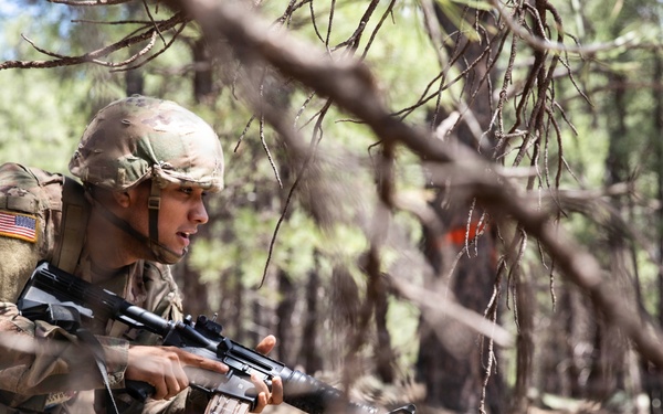 Arizona Army National Guard soldiers reinforce readiness and lethality during annual training.