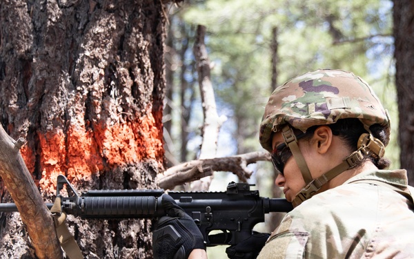 Arizona Army National Guard soldiers reinforce readiness and lethality during annual training.