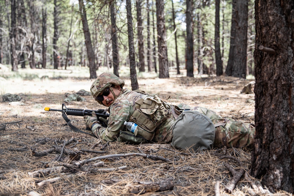 Arizona Army National Guard soldiers reinforce readiness and lethality during annual training.