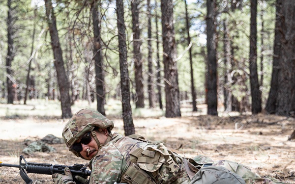 Arizona Army National Guard soldiers reinforce readiness and lethality during annual training.
