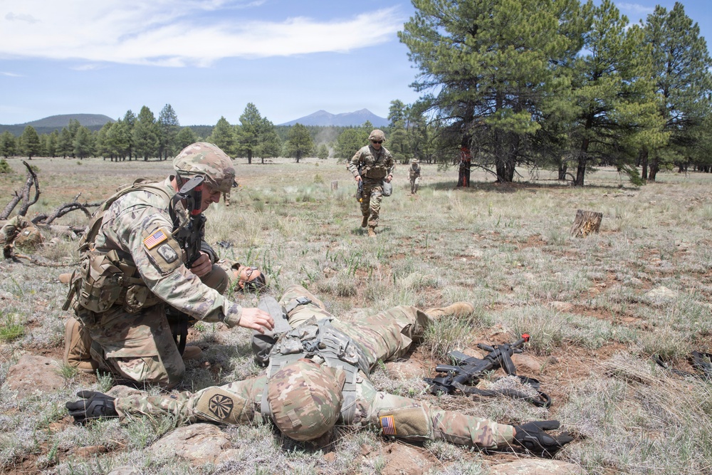 Arizona Army National Guard units conduct annual training at Camp Navajo