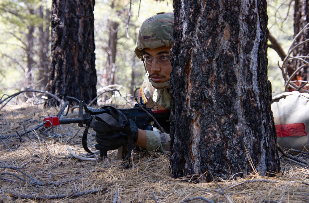 Soldiers of the 153rd Combat Sustainment Support Battalion train to always be ready