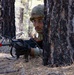 Soldiers of the 153rd Combat Sustainment Support Battalion train to always be ready