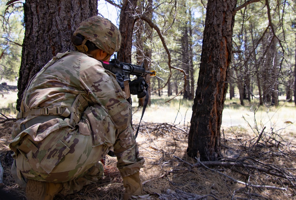 Soldiers of the 153rd Combat Sustainment Support Battalion train to always be ready