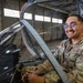 Bilateral Wild Weasel immersion tour strengthens allied mission understanding across Team Misawa