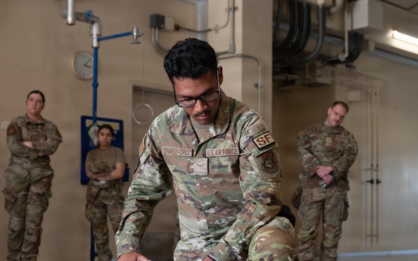 Bilateral Wild Weasel immersion tour strengthens allied mission understanding across Team Misawa