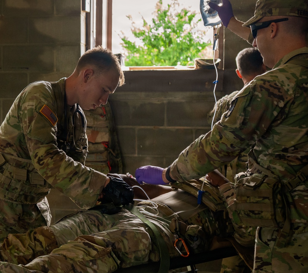 Medics Conduct Mass Casualty Evacuation Training During Annual Training
